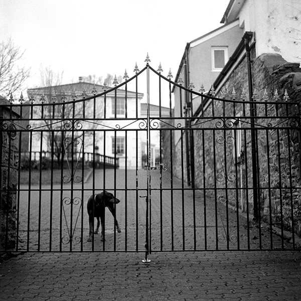 ‘The Dog at the Gate’ - Alessandro  Polledri - University of South Wales, Newport