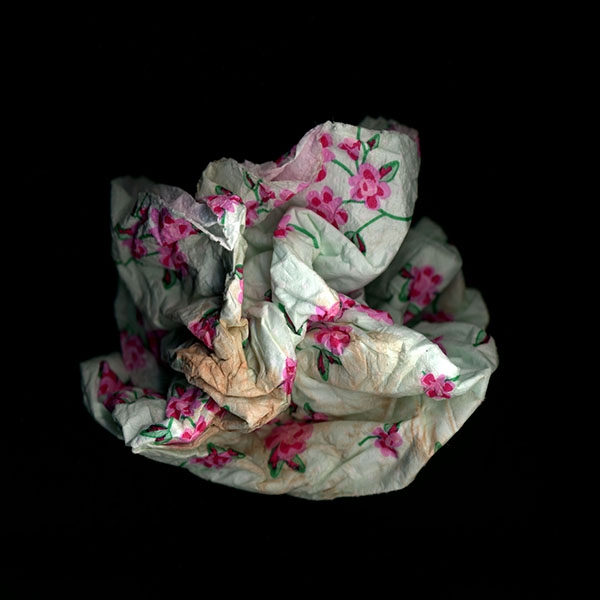 ‘Tissue 31’ - Carla  Smith - UCS Ipswich