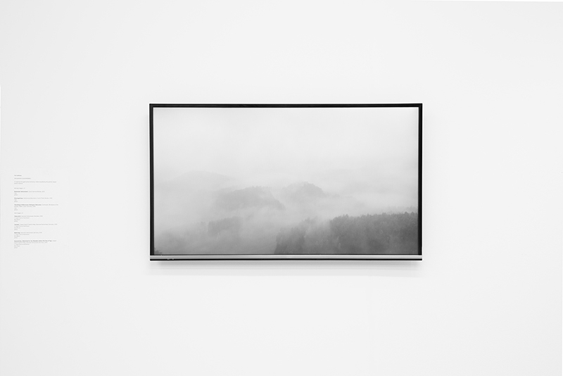 ‘Bohemian Switzerland, Czech/German Border, 2015, Moving Image’ - Tim Sullivan - Royal College of Art