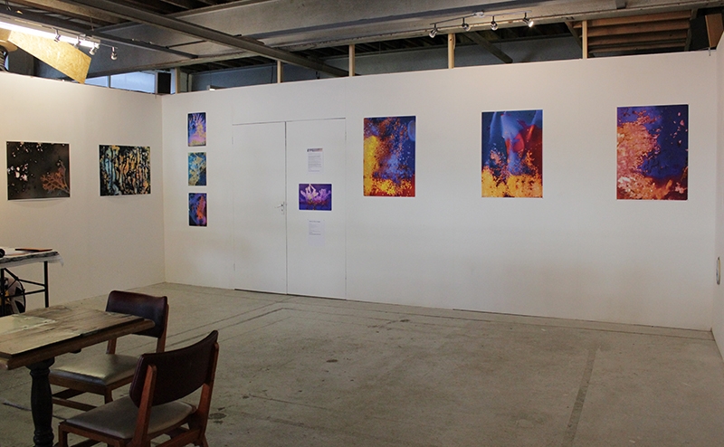 ‘Exhibition Installation Shot’ - Josie Purcell - Falmouth University