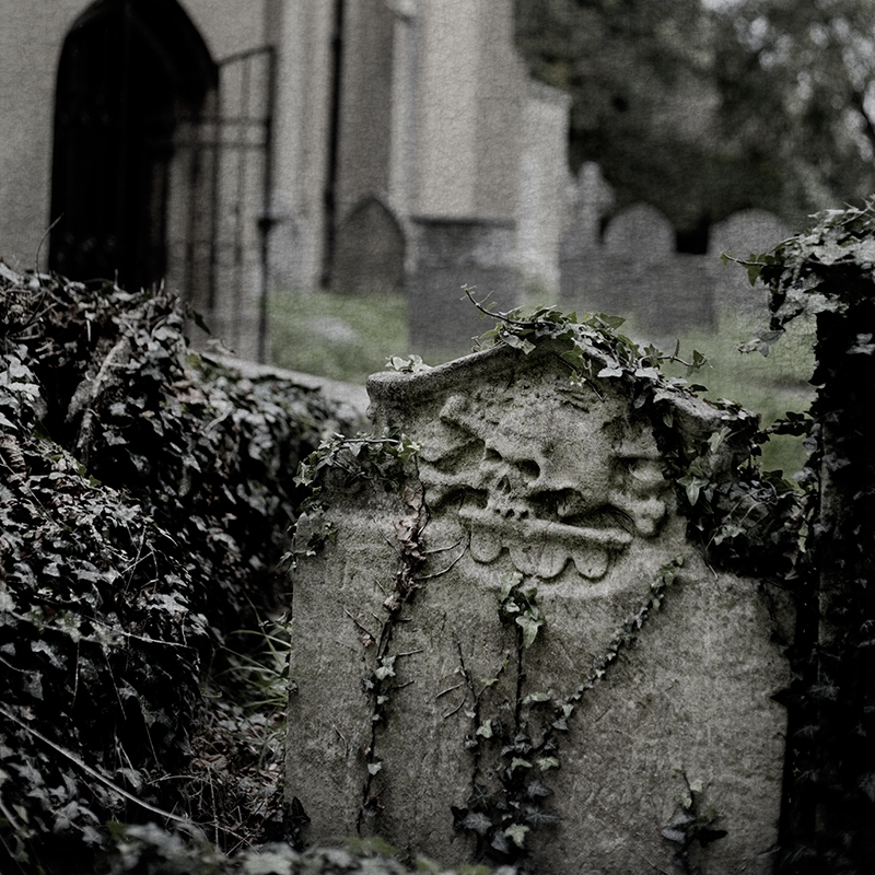 ‘Graveyard’ - Elinor Rowley - University of Westminster