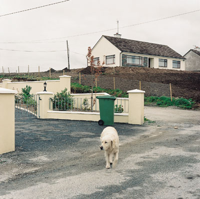 from There's No One at Home Peggy's in Town by Padraig Murphy